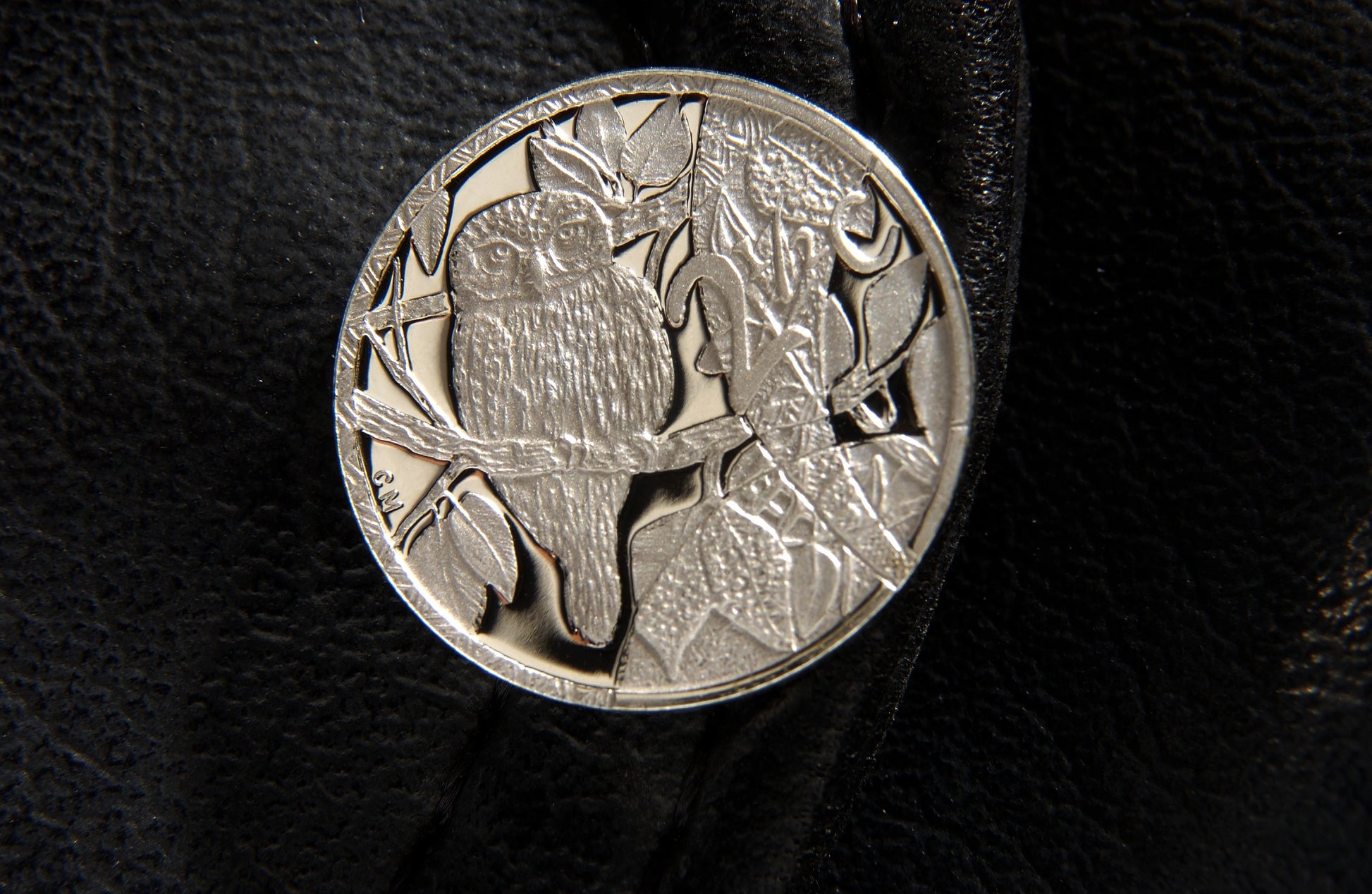 2004 Silver Owl Combo Set - Birds of Prey