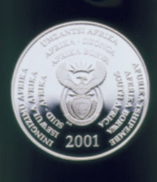 2001 Silver Dolphin Combo Set - Marine Life
